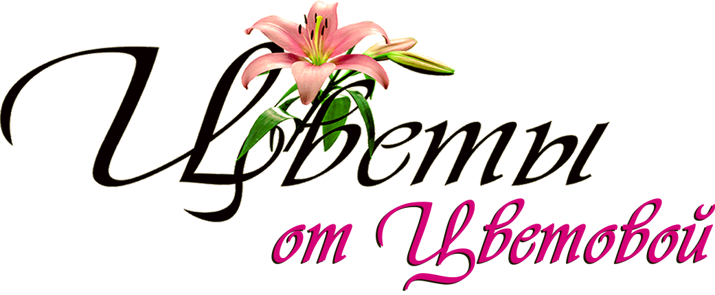 Цветы от Цветовой Цветы от Цветовой