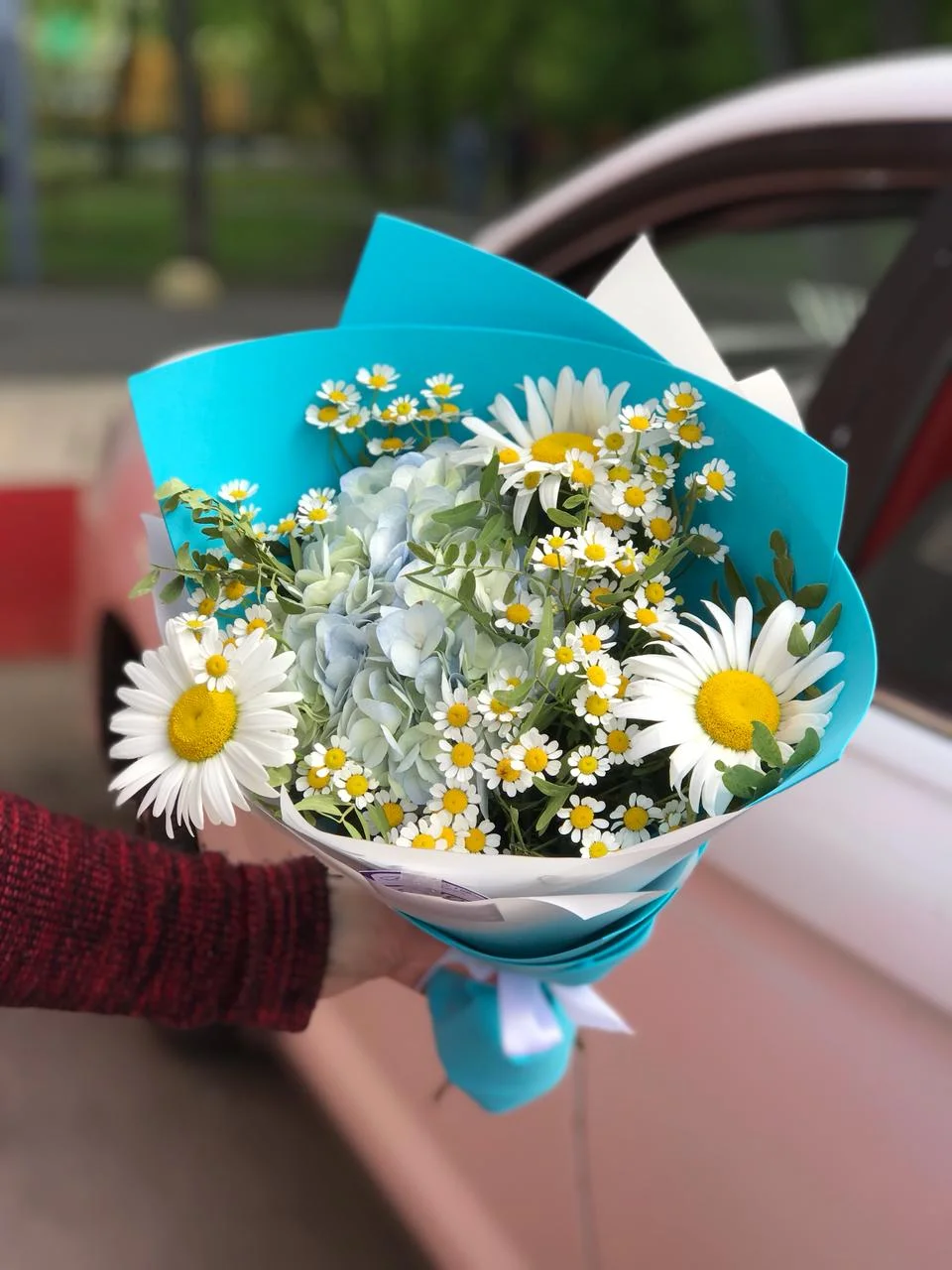 Купить букет из гортензий, камиллы, пистоши, ромашки в Москве